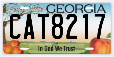 GA license plate CAT8217