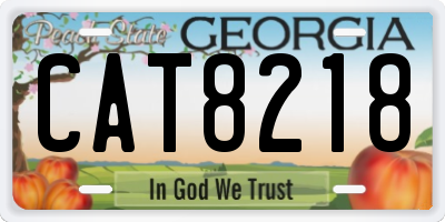 GA license plate CAT8218