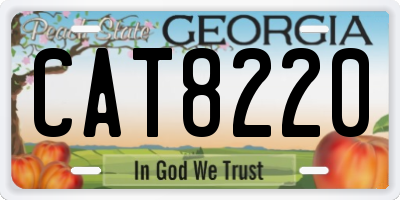 GA license plate CAT8220