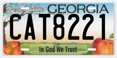 GA license plate CAT8221