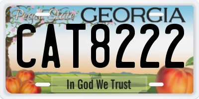 GA license plate CAT8222