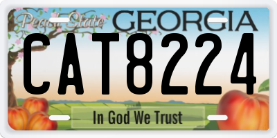 GA license plate CAT8224