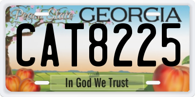 GA license plate CAT8225
