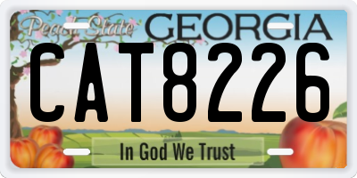 GA license plate CAT8226