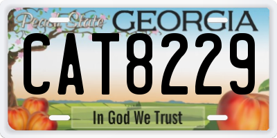 GA license plate CAT8229