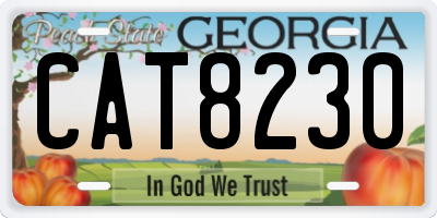 GA license plate CAT8230