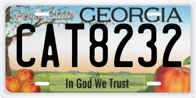 GA license plate CAT8232