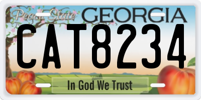 GA license plate CAT8234