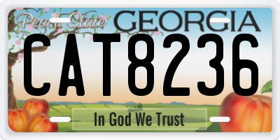 GA license plate CAT8236