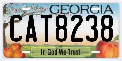 GA license plate CAT8238
