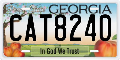 GA license plate CAT8240