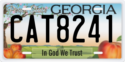 GA license plate CAT8241