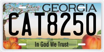 GA license plate CAT8250