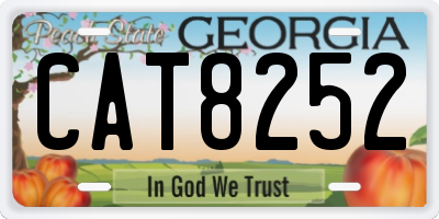 GA license plate CAT8252