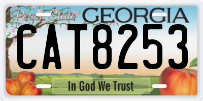 GA license plate CAT8253
