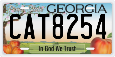 GA license plate CAT8254
