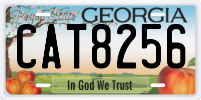 GA license plate CAT8256
