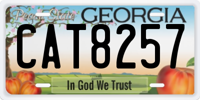 GA license plate CAT8257