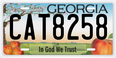 GA license plate CAT8258