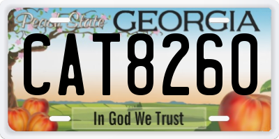 GA license plate CAT8260