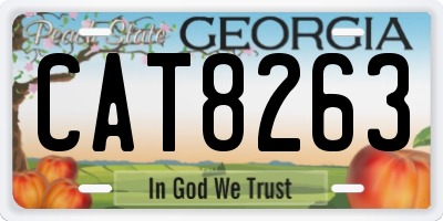 GA license plate CAT8263