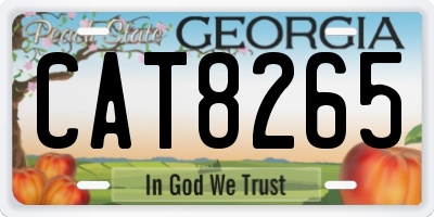 GA license plate CAT8265