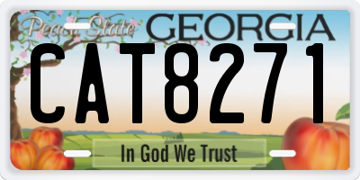 GA license plate CAT8271
