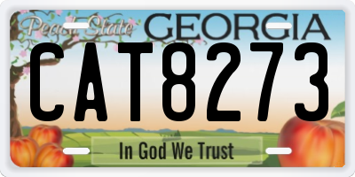 GA license plate CAT8273