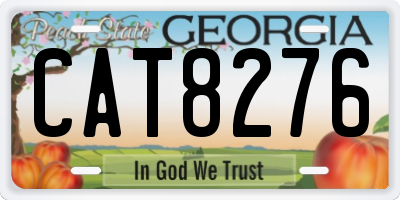 GA license plate CAT8276
