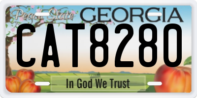 GA license plate CAT8280