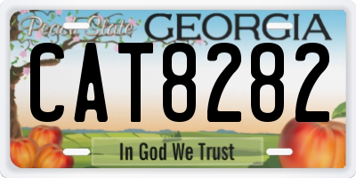 GA license plate CAT8282