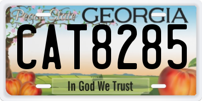 GA license plate CAT8285