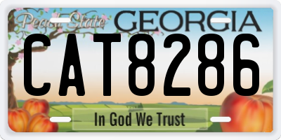 GA license plate CAT8286