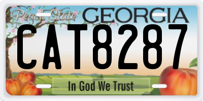 GA license plate CAT8287