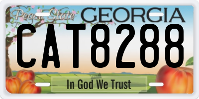 GA license plate CAT8288