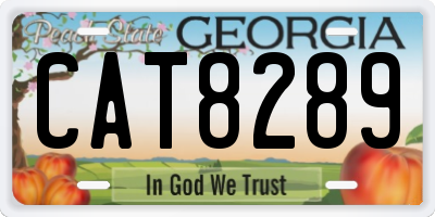 GA license plate CAT8289