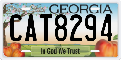GA license plate CAT8294