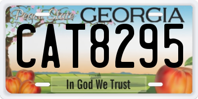 GA license plate CAT8295
