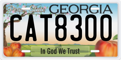 GA license plate CAT8300