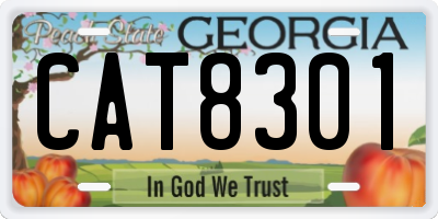 GA license plate CAT8301