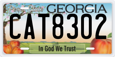 GA license plate CAT8302