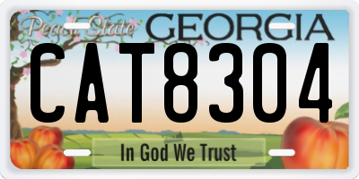 GA license plate CAT8304