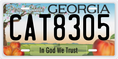 GA license plate CAT8305