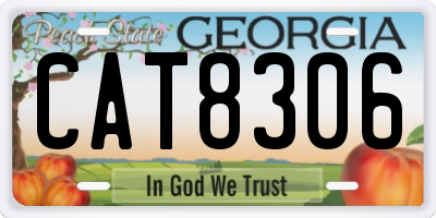 GA license plate CAT8306