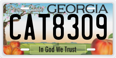 GA license plate CAT8309