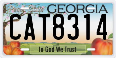GA license plate CAT8314
