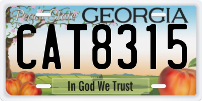 GA license plate CAT8315