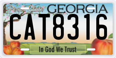GA license plate CAT8316