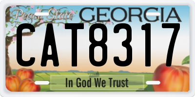 GA license plate CAT8317