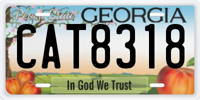 GA license plate CAT8318